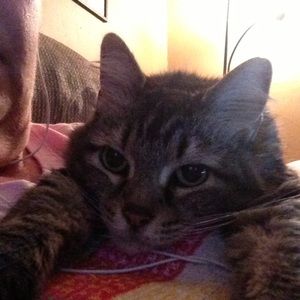 Meet your Posher, Victoria